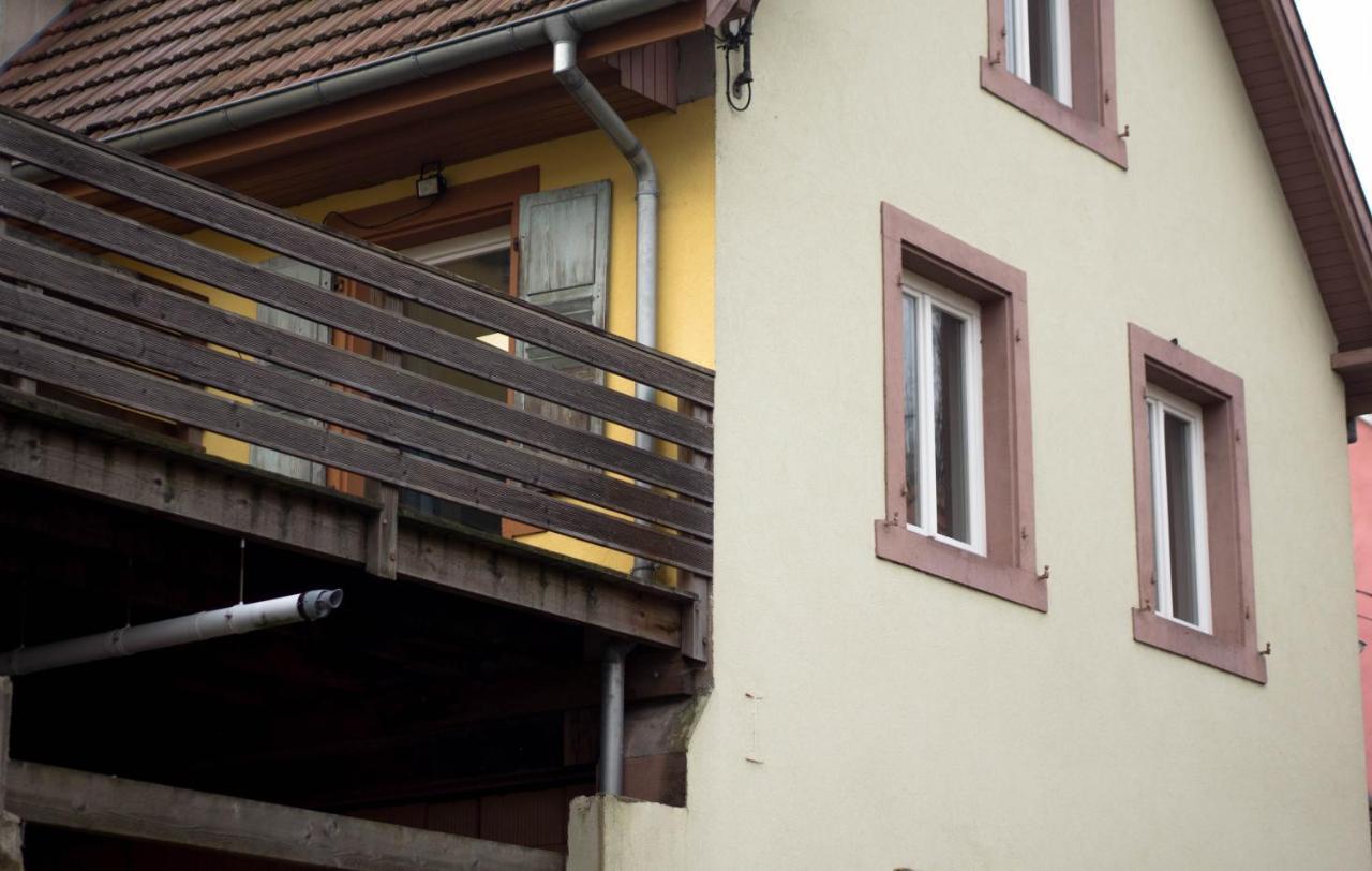 Meublé tout confort, avec terrasse Niederbronn-les-Bains Esterno foto